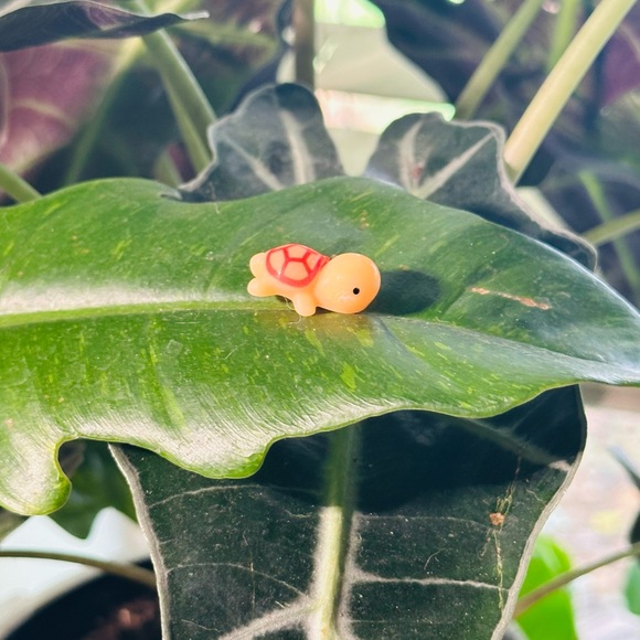 🍃30 pack of PetalPals plant Magnets🍃 - Picture 10 of 12